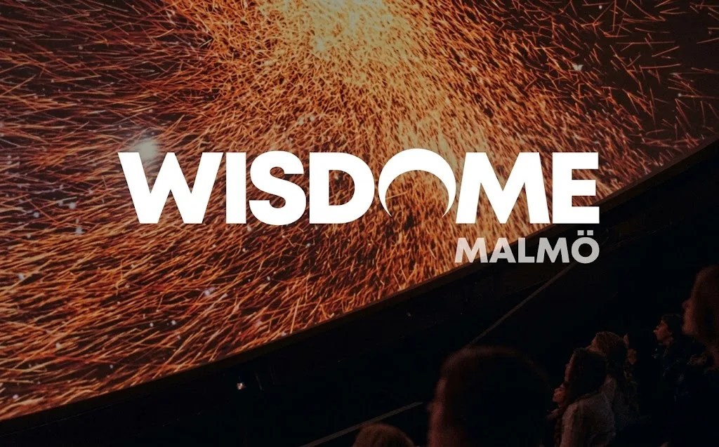 Wisdome sonic branding project